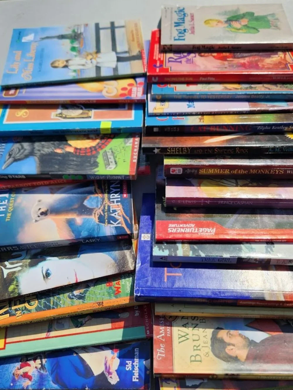 4 Book Bundle Lot Set Chapter Books Young Adult Literature Novels Mystery Books